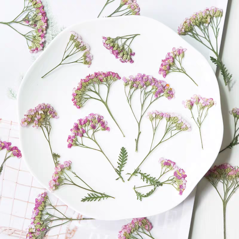 60pcs Pressed Dried Yarrow Ach - Resin Art Phone Case recension och pris