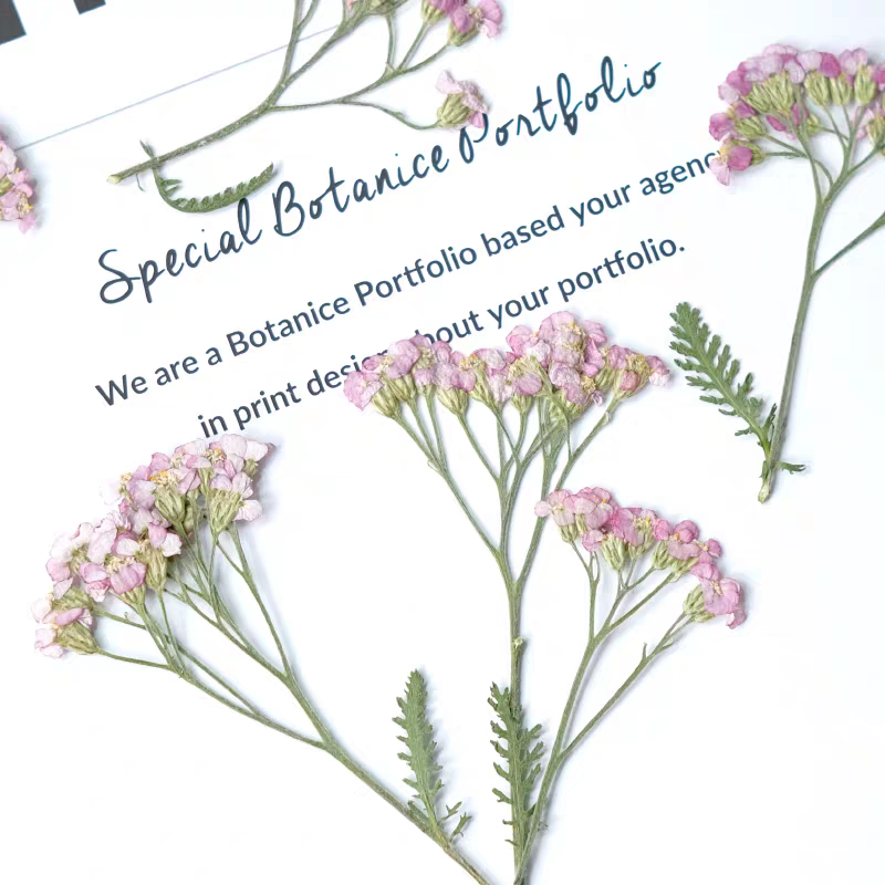 60pcs Pressed Dried Yarrow Ach - Resin Art Phone Case recension och pris