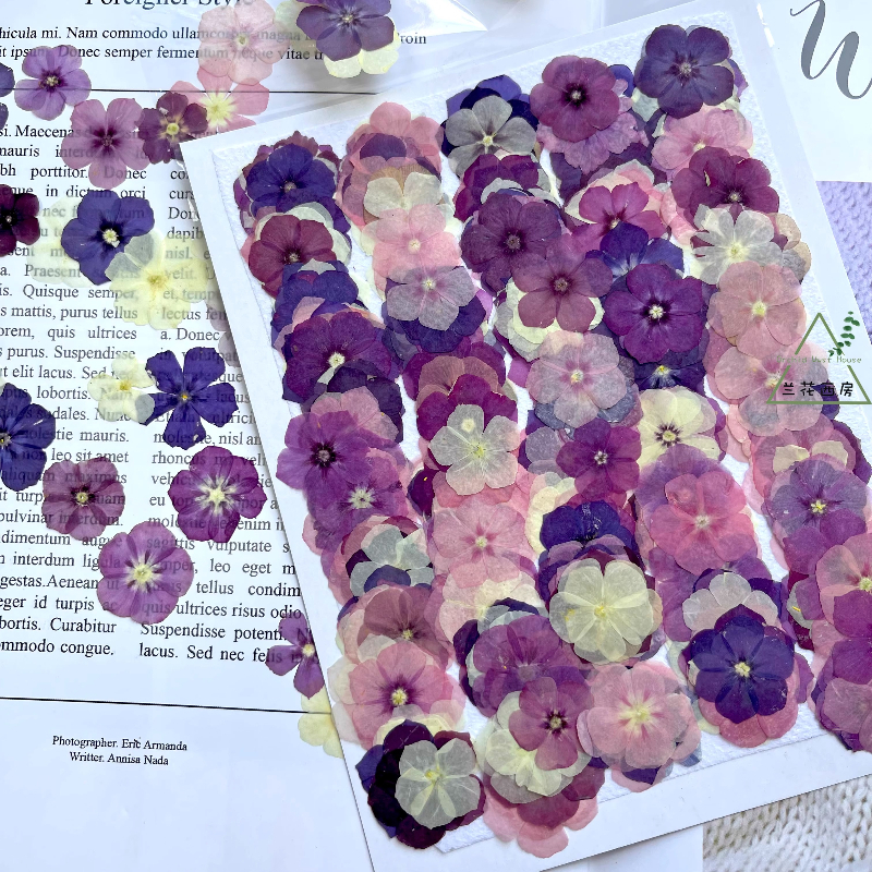 12pcs,Semi-Transparent Niche P - Resin Art Phone Case recension och pris