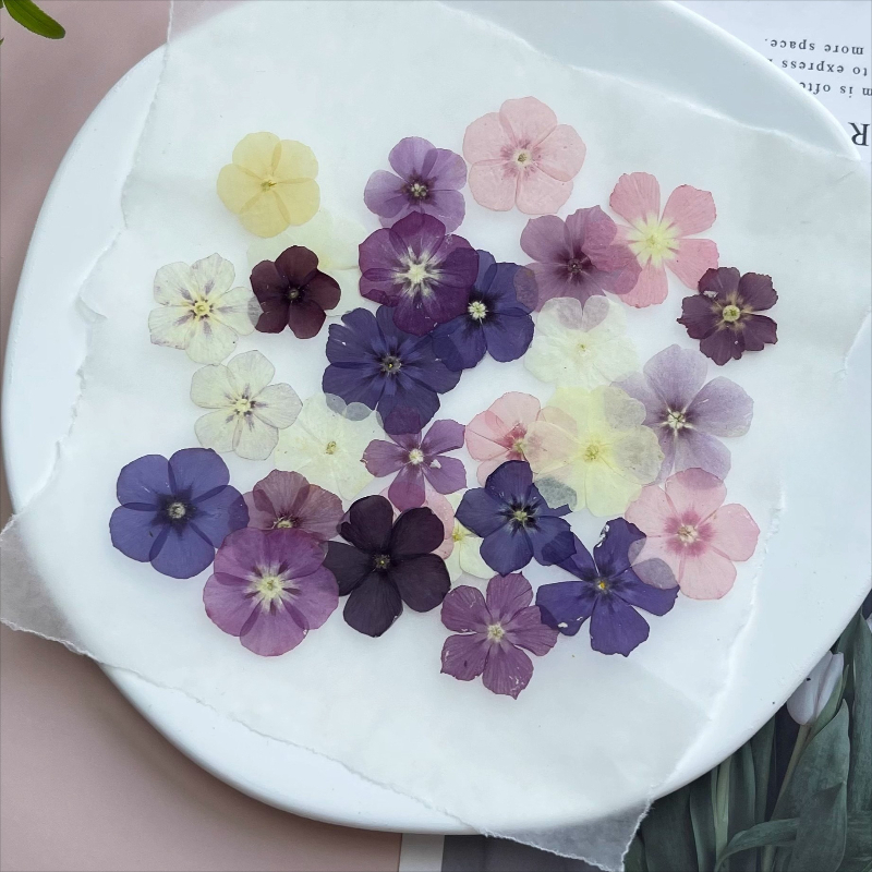 12pcs,Semi-Transparent Niche P - Resin Art Phone Case recension och pris