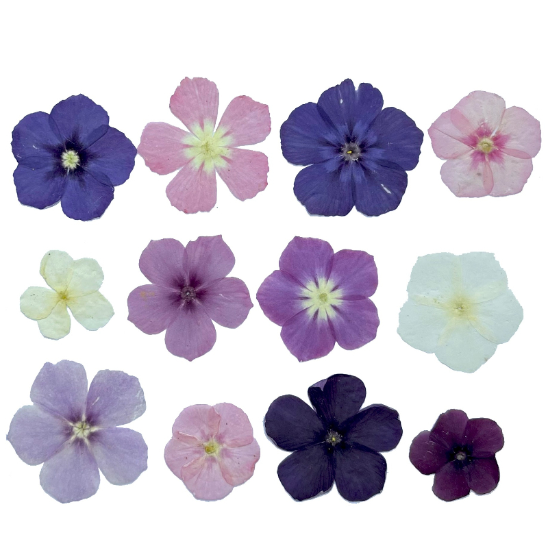 12pcs,Semi-Transparent Niche P - Resin Art Phone Case recension och pris